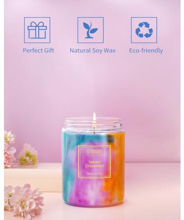 Scented Candles | Extra Strong Spiced Cinnamon Soy Wax Jar | Holiday Aromatherapy | 80-Hour Burn | Great Funny Birthday Gifts for Women - Buy Online on GoSupps.com