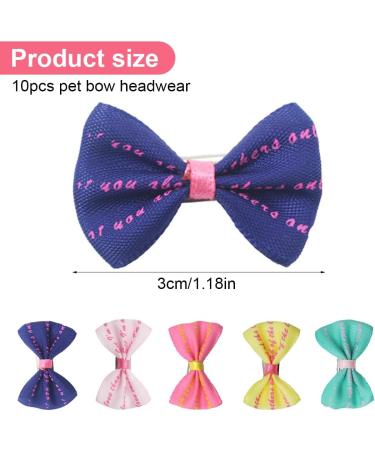 Ebho 10-Piece Small Dog Hair Accessories Set | Rubber Band Loops for Long-Haired Dogs & Cats - Buy Online on GoSupps.com