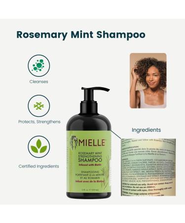 Rosemary Mint Shampoo and Leave In Conditioner Bundle with JONEX SCO Hair Scrub Scalp Massager Brush (3 items) - Buy Online on GoSupps.com