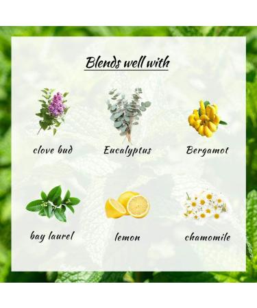 2pcs Lemon + Peppermint 10ml Essential Oils Set - 100% Pure Aromatherapy Kit - Buy Online on GoSupps.com