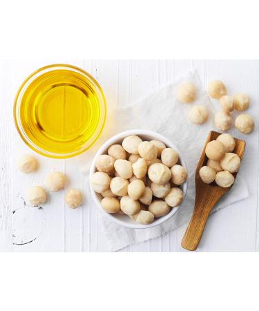 1001 Fruit Macadamia Nuts 500g Unsalted Whole Nuts from Australia | Natural Raw Food Quality No Additives Untreated - Buy Online on GoSupps.com