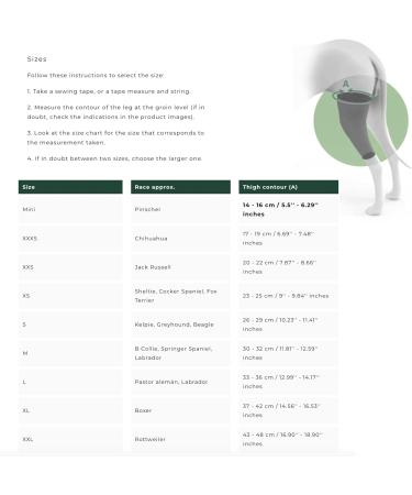 Ortocanis - Knee Brace for Dogs with Ligament Rupture and Patella Luxation Size XXS Right Leg Right leg Size XXS - Buy Online on GoSupps.com