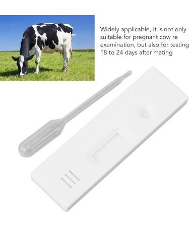 10 Set Cow Pregnancy Test Card Kit - High Accuracy & Quick Detection | Easy Operation for Early Diagnosis - Animal Supply & Pregnancy Test Strips - Buy Online on GoSupps.com