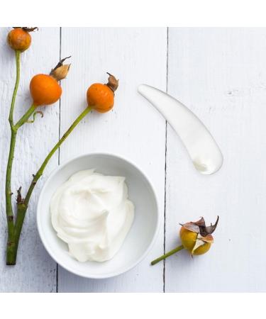 Buy Stainless Steel Facial Cream Spatula - Makeup Spoon & Applicator for Perfect Skin Care | Truly Beauty Remover - Buy Online on GoSupps.com