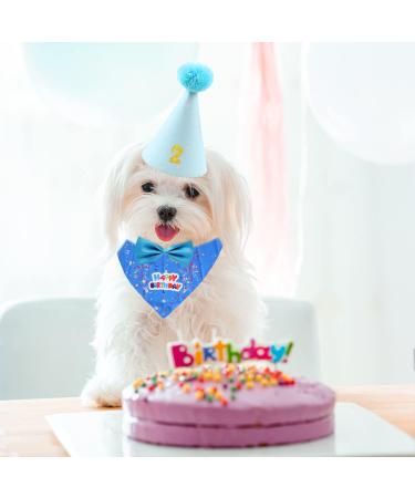 4-Piece Set Pet Birthday Party Supplies Dog Triangle Scarf Birthday Hat Dog Bow Tie Gold Powder Digital Patch Pet Party Celebration Decor for Small Medium Large Pets (Blue) - Buy Online on GoSupps.com