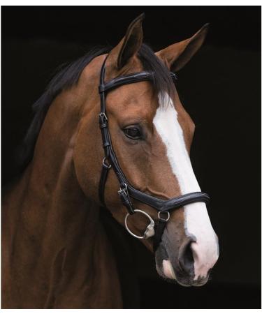 Shop Horseware Rambo Micklem Deluxe Competition Bridle - Black XL | Customizable Color & Size | International Shipping Available - Buy Online on GoSupps.com