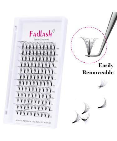 16D Russian Volume Eyelashes - D Curl 0.07mm Mix 8-14mm - Premium Bulled Eyelash Extensions (1 Pack) - Buy Online on GoSupps.com