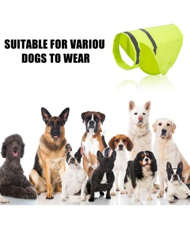 Reflective Safety Vest for Dogs | Adjustable Fluorescent Orange Warning Vest with Velcro Fastener - Enhanced Night Safety - Buy Online on GoSupps.com
