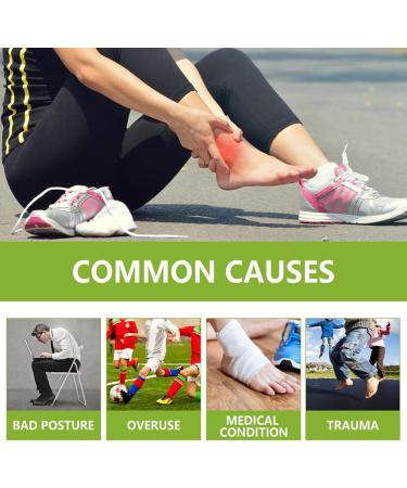 Beevana Bee Venom Joint and Bone Therapy Cream Bee Venom Joint and Bone Therapy Cream Joint & Bone Therapy Cream Bee Venom Therapy Cream for Soother Comfy Muscles (3PC) - Buy Online on GoSupps.com