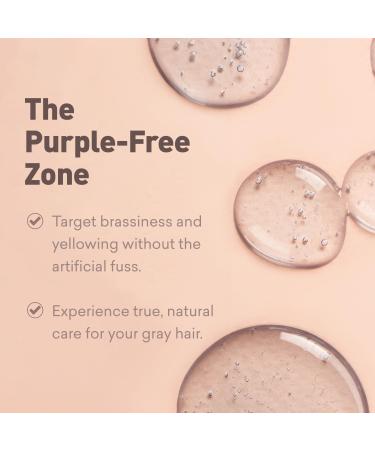 Just Nutritive Men's Gray Hair Shampoo | Sulfate-Free Brassy Tone Remover | Natural Gray Hair Treatment | 8 oz - Buy Online on GoSupps.com