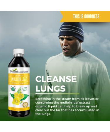 Mullein Leaf Extract 12oz Liquid - Lung & Respiratory Support Cleanse and Detox -Immune Support - Vegan Supplement - Organic - Herbal Goodness - Made in USA(Pack of 12) - Buy Online on GoSupps.com