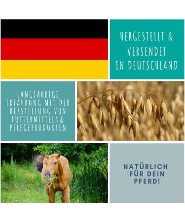 Rice Germ Oil Flax Oil 1L 30 ml for Horses Plus Vitamin E + Amino Acids Horse + Complex - Bodybuilding Horse Without Selenium Lysine Replenishing Food Supplement Horse Food - Buy Online on GoSupps.com