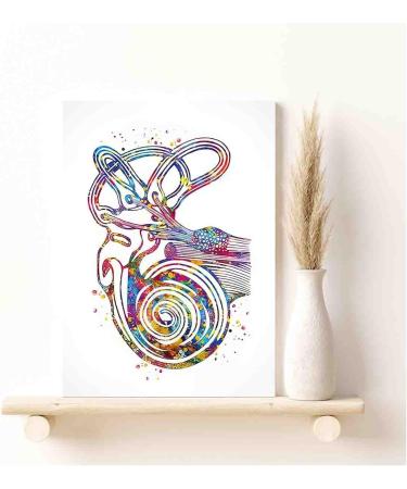 Modern Farmhouse Bedroom Decor: Semicircular Canals Ear Watercolor Print | Audiologist Gift & ENT Office Medical Art | 12x18 Ready to Hang - Buy Online on GoSupps.com