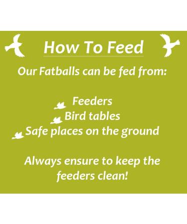 The Suet Shop 80g x 50 Standard Suet Fat Balls - High Energy & Protein for Wild Birds - Buy Online on GoSupps.com