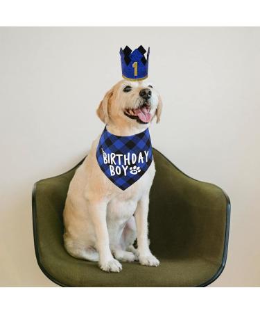 Dog Birthday Party Accessories - Reusable Bandana & Blue Crown for Small to Medium Dogs & Cats - Perfect Pet Outfits & Party Decorations - Buy Online on GoSupps.com