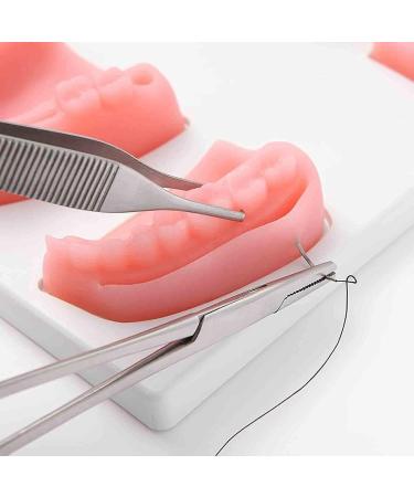 Oral Seam Tools & Gum Cutting Training Equipment for Dentistry Students International Shipping Available - Buy Online on GoSupps.com
