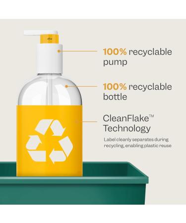 Renpure Plant Based Marula Oil & Aloe Shampoo | Ultra Smoothing for Dry Frizzy Hair | Paraben Free Hydrating Formula | 24 fl oz - Buy Online on GoSupps.com