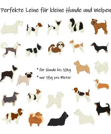 Buy Bio-Leine Very Light Biothane Puppy Leash | 2 to 15m 9mm Water-Repellent & Dirt-Repellent Leash for Small Dogs - Turquoise 5m with Hand Loop - Buy Online on GoSupps.com