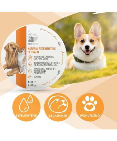Benepura Pfotenbalsam 40 ml - Natural Paw Care for Dogs & Cats - Moisturizes Rough Cracked Paws and Noses - Wound Ointment & Paw Protection - Buy Online on GoSupps.com