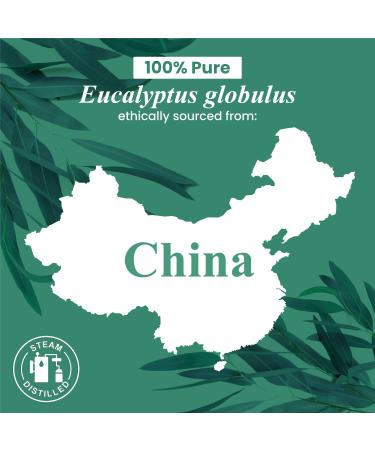 Handcraft Blends Soothing Relief Set: Sweet Almond Oil (16 Fl Oz) and Eucalyptus Essential Oil (4 Fl Oz) 100% Pure & Natural for Muscle Massage and Body Care - Buy Online on GoSupps.com