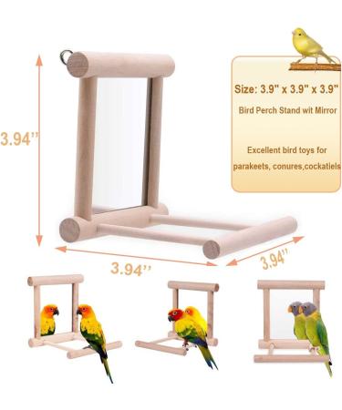 Bird Mirror Swing Toy for Small Parrots - Hanging Play Mirror for Greys, Parakeets, Cockatoos, Cockatiels, Conures, Lovebirds, Canaries, Macaws and African Parrots - Buy Online on GoSupps.com