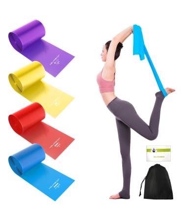 VALYPANOR Resistance Bands 2 m Fitness Bands Set of 4 Exercise Bands with 4 Resistance Levels for Yoga Pilates Crossfit Muscle Building Physiotherapy with Carry Bag & Exercise Instructions