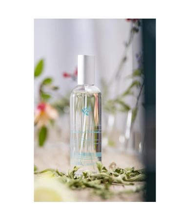 Provence Sante Eau de Toilette Spray - Luxury Long-Lasting Fragrance - Refreshing Vervain Scent - Elegant Perfume Gift - Made in France - 3.5 Oz - Buy Online on GoSupps.com