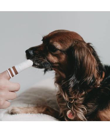 Shop Lila Loves IT Dog Toothbrush - Antibacterial Micro-Fleece Dental Care Fingerling for Healthy Gums | International Shipping - Buy Online on GoSupps.com