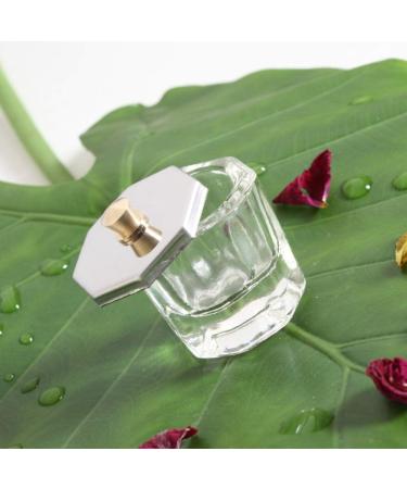 Mini Glass Dappen Dish Set with Stainless Steel Lid - Nail Art Acrylic Powder Tools - Buy Online on GoSupps.com