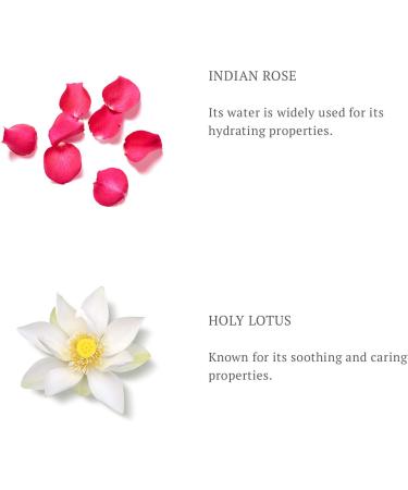 RITUALS The Ritual of Namast Hydrating Overnight Cream Refill Collection 50 ml - Buy Online on GoSupps.com