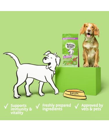 Barking Heads Complete Dry Dog Food 12kg - Adult All Hounder Bowl Lickin' Goodness Lamb - Natural Everyday Immunity & Vitality - Vet Approved Lamb 12 kg (Pack of 1) - Buy Online on GoSupps.com