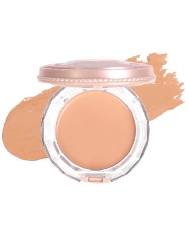 Rosarden Cream Foundation Palette - Full Coverage Foundation with Sponge Powder Puff- Waterproof Long Lasting Face Foundation - Matte Finish Lightweight Smooth Foundation Suitable for All Skin Types 03