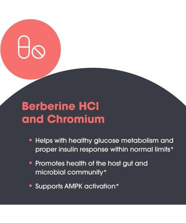 Metabolic Maintenance Berberine + Chromium - Berberine Chromium Supplement for Women and Men Natural Health Complex for Metabolic Function 500mg per Capsule - 60 Capsules - Buy Online on GoSupps.com