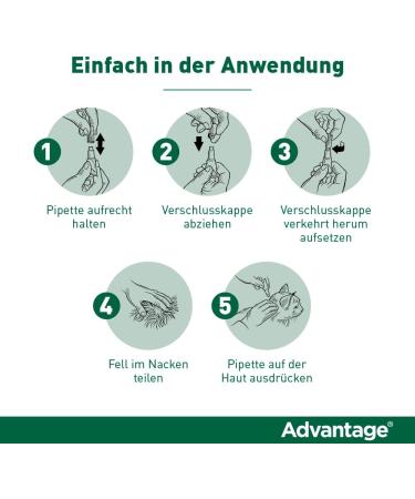 Elanco Advantage Spot-on 40 for Small Cats & Rabbits - Flea Protection 4 Pipettes Easy Application - Buy Online on GoSupps.com