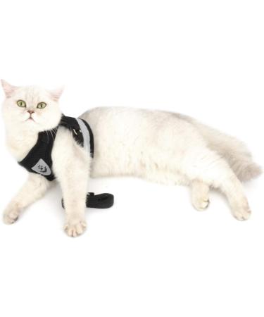 Ranphy Breakproof Cat Dishes & Reflective Chest Harness for Small Cats - Durable Soft Fabric Ideal for Puppies - Black (34 cm) - Buy Online on GoSupps.com