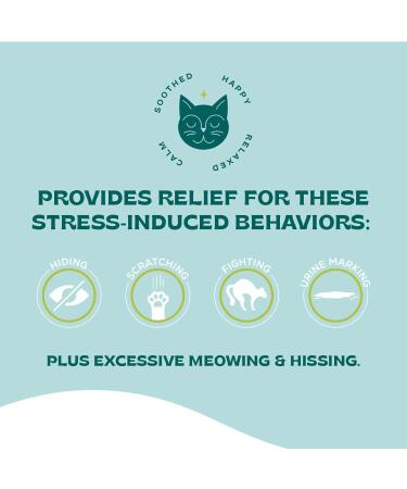 Serene Pheromone + Catnip Calming Spray 60ml | Reduce Stress & Anxiety in Cats | Fast-Acting Solution for Hiding, Scratching & Fighting | Ideal for Home, Travel, Vet Visits, Thunder & Fireworks | 440223 - Buy Online on GoSupps.com