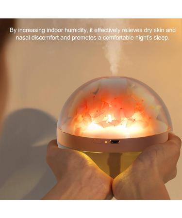 Mini-LED Essential Oil Diffuser with Eternal Flower - Pink 270ml Humidifier for Bedroom Aromatherapy & Humidification - Buy Online on GoSupps.com