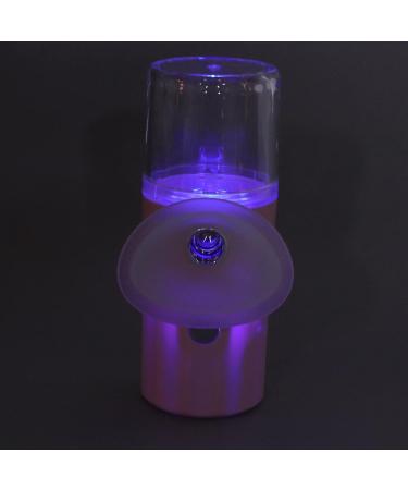 Natudeco 40ML Eye Moisturizing Sprayer Eye Hydrating Sprayer Portable Handheld USB Charging Eye Sprayer for Eye Fatigue Relief Facial Moisturizing(PINK) - Buy Online on GoSupps.com