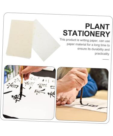 NUOBESTY 120pcs Rice Paper Letterhead Stationary Writing Paper Small Paper Flowers Chinese Style The Flowers - Buy Online on GoSupps.com