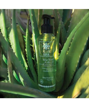 Gel l'aloe vera 150 ml - Buy Online on GoSupps.com
