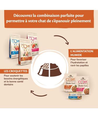 Wellness Core Original Sterilized Cat Food Natural and Grain Free Chicken/Turkey 4 kg - Buy Online on GoSupps.com