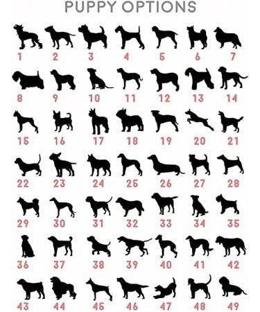 Personalized Cat Heart Necklace | Custom Engraved Sterling Silver Jewelry for Pet Lovers | Unique Gifts for Dog Moms - Buy Online on GoSupps.com