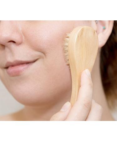 Exfoliating Dry Brush Set for Body & Face with Handle, Mesh Pouf, and Pumice Stone - Gift for Men & Women (4 Pack) - Buy Online on GoSupps.com