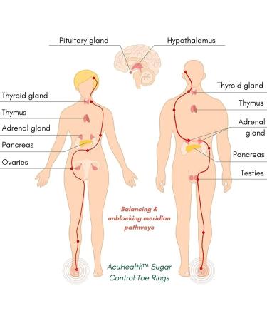 AcuHealth Sugar Control Toe Rings Therapeutic Magnetic Toe Ring Magnetic Therapy Ring Adjustable Pain Relief for Arthritis Blood Flow and Carpal Tunnel Lymphatic Drainage Therapeutic (Color : 5pa 5pairs - Buy Online on GoSupps.com