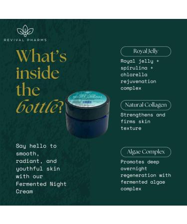 Revival Pharms Rejuvie Night Cream Fermented Formula for Radiant Skin with Royal Jelly and Collagen Natural Probiotic-Rich Moisturizer 30g/1oz - Buy Online on GoSupps.com