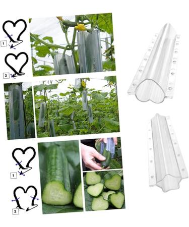 SUPVOX 2pcs Heart Forming Shaping Ki Growing Styling Fruit DIY Heart- Growth for Shape Tools Melon Plastic - Buy Online on GoSupps.com