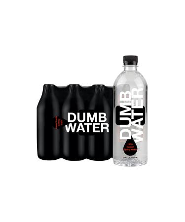 DUMB WATER (6 Pack) 100% Natural Spring Water, BPA Free, 6/ 24 Fl. Oz., Bottles, Our Pristine water flows from the Penobscot Ridge Mountains in the Lackawanna State Forest, Reminding you to DRINK UP MORE BOTTLED WATER!