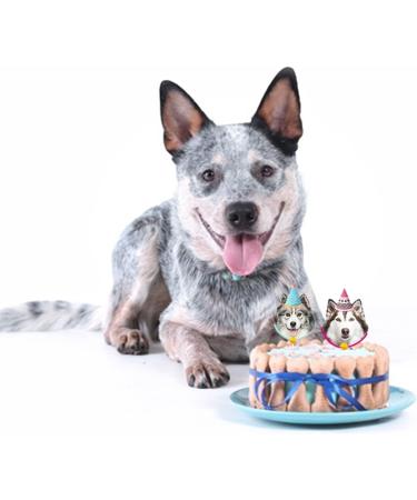 12PCS Puppy Cupcake Topper Dog Cupcake Topper Picks Pet Theme Puppy Themed Birthday Party Decorations Gog - Buy Online on GoSupps.com