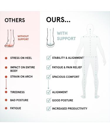 ABEO Premium Metatarsal Insoles for Women - Plantar Fasciitis & Metatarsalgia Relief | Orthotic Inserts in Black Size 5 Medium - Buy Online on GoSupps.com
