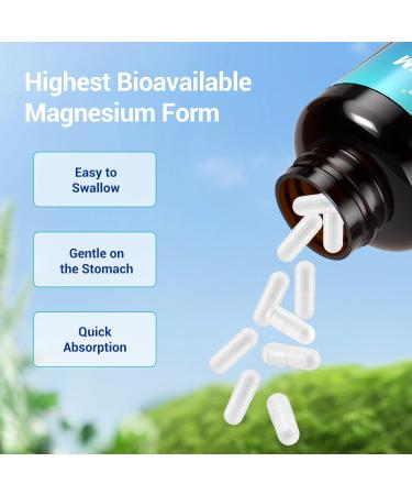 Magnesium Glycinate 500mg High Absorption Chelated Magnesium for Sleep Stress Muscle & Nerve Support Non-GMO Gentle on Stomach 240 Capsules 240 Count (Pack of 1) - Buy Online on GoSupps.com